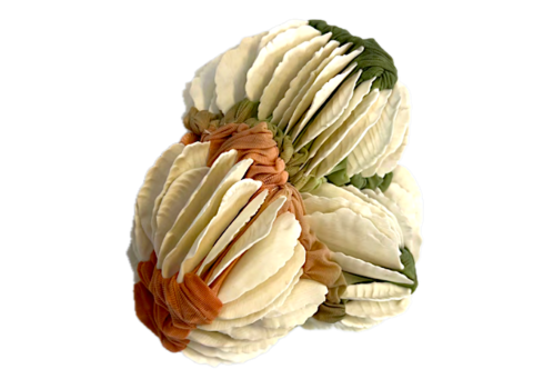 Polyp