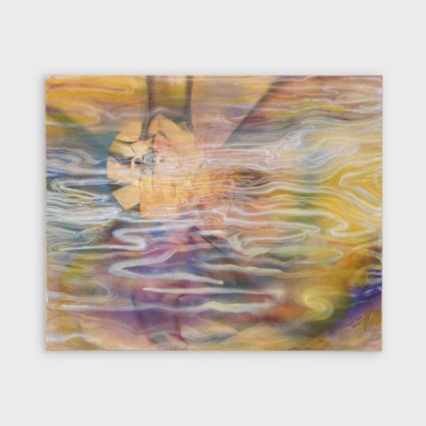 Dream Pond Poison